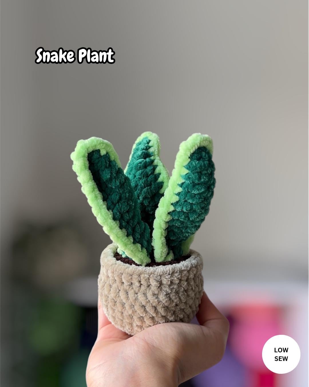 5-in-1 Plants Bundle