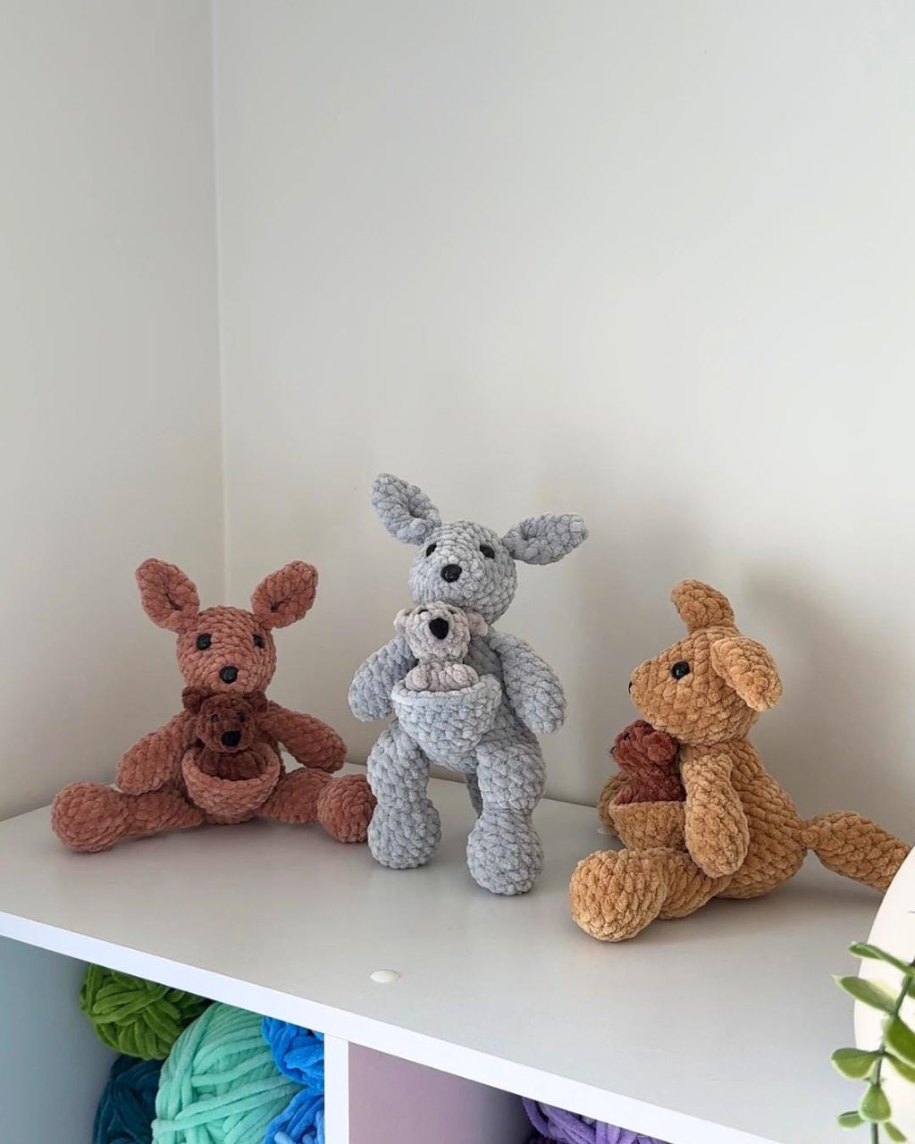 Kangaroo Mama and Joey