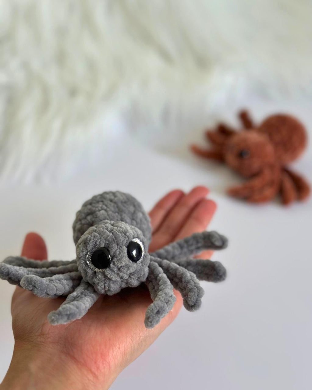 Spider