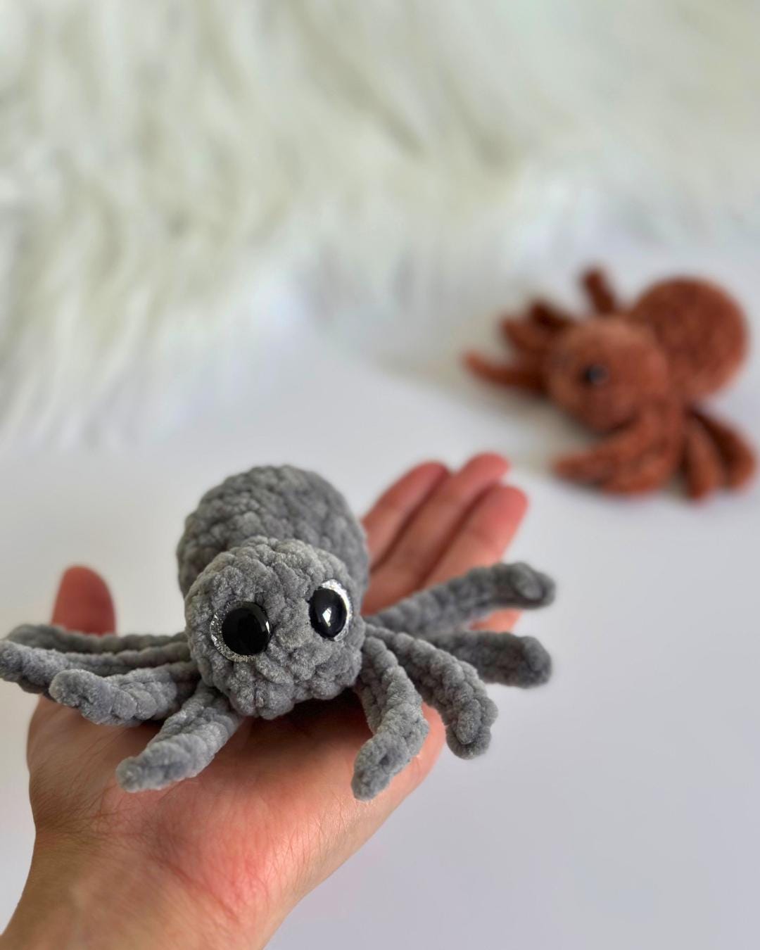 Spider