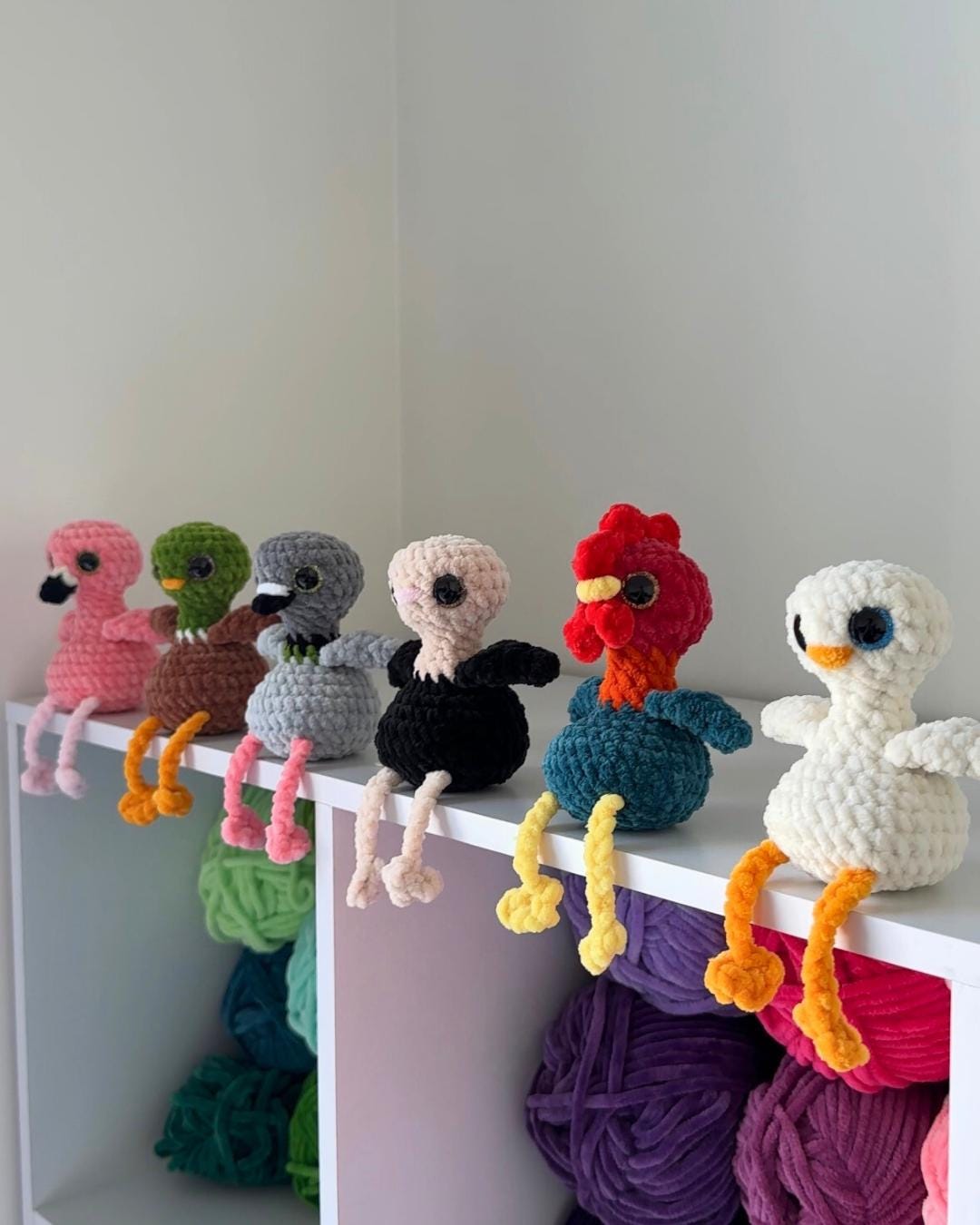 6-in-1 Silly Birds Bundle