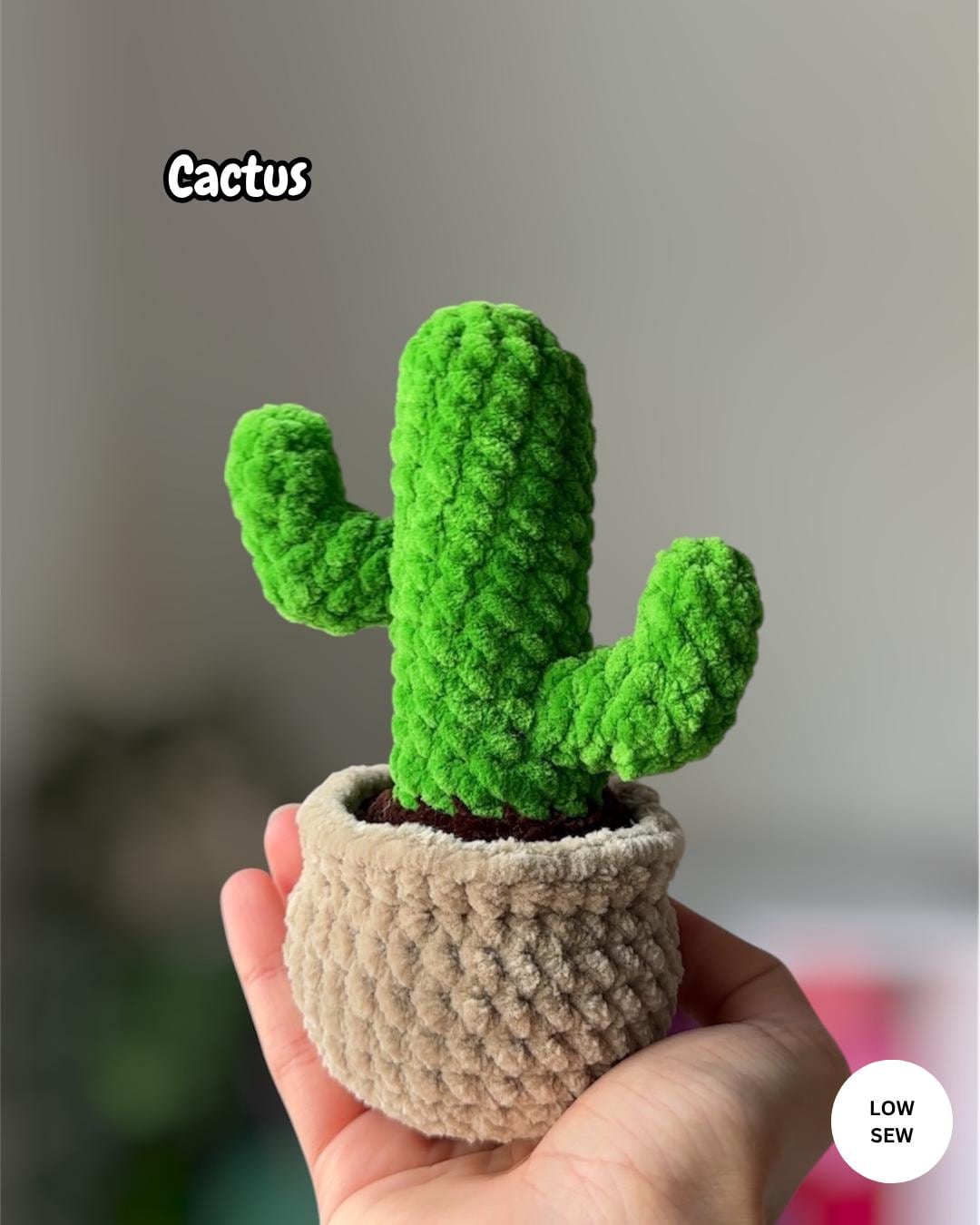 5-in-1 Plants Bundle