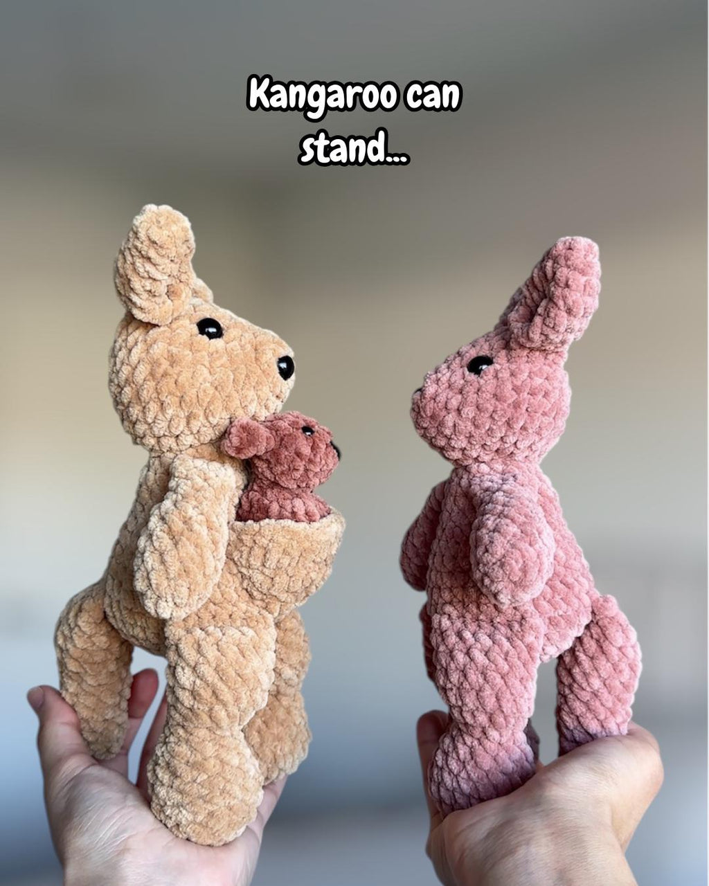 Kangaroo Mama and Joey