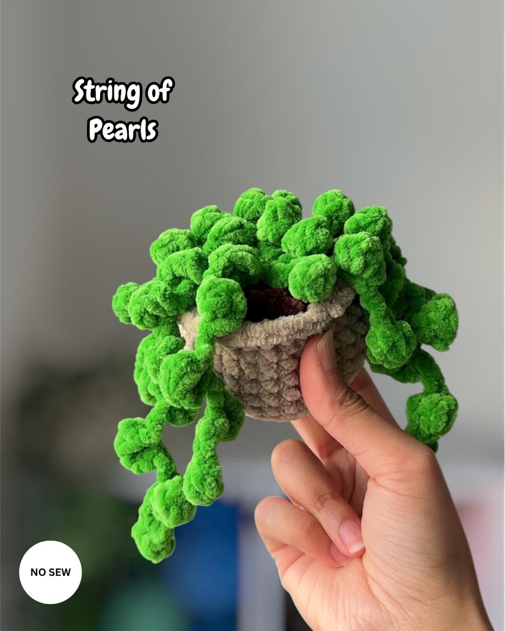 5-in-1 Plants Bundle