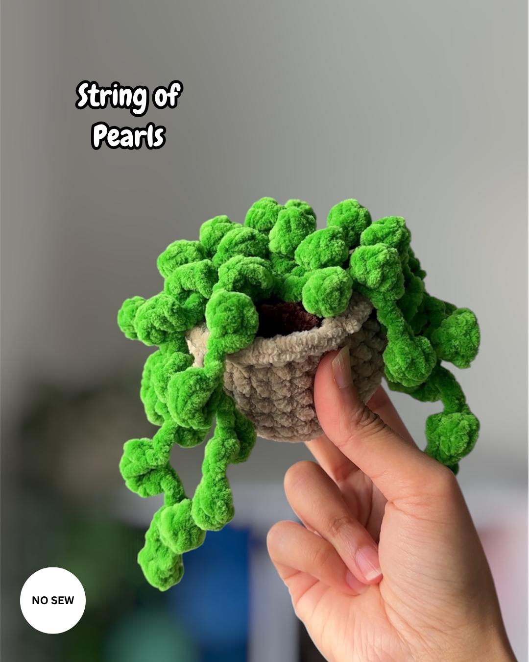 5-in-1 Plants Bundle