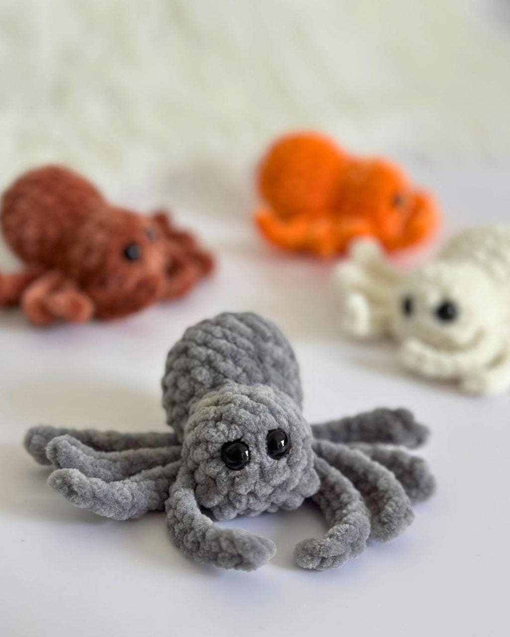 Spider