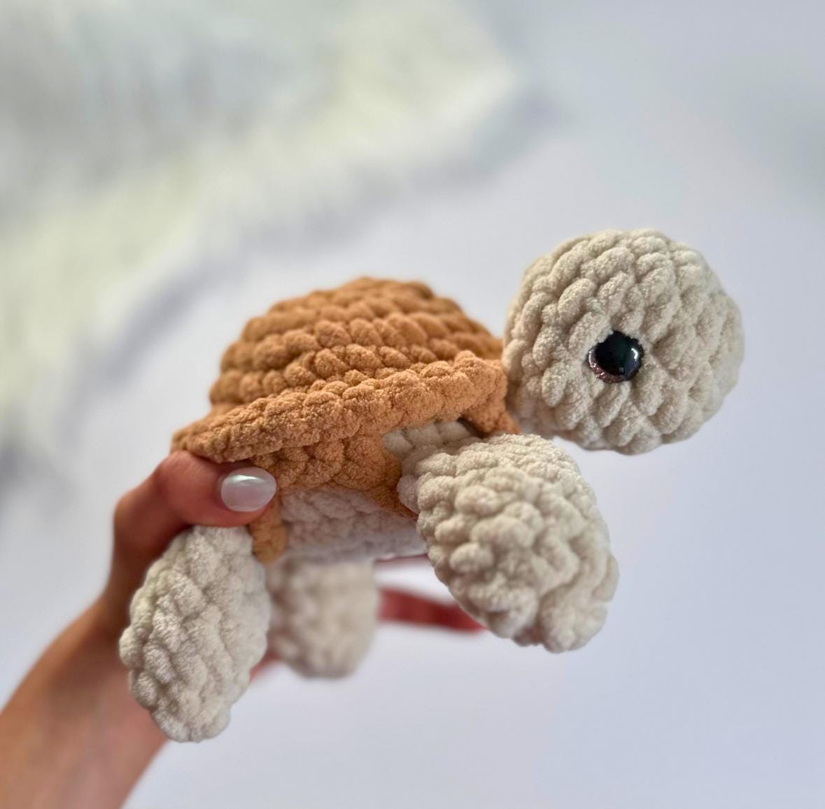 Removable Shell Turtle