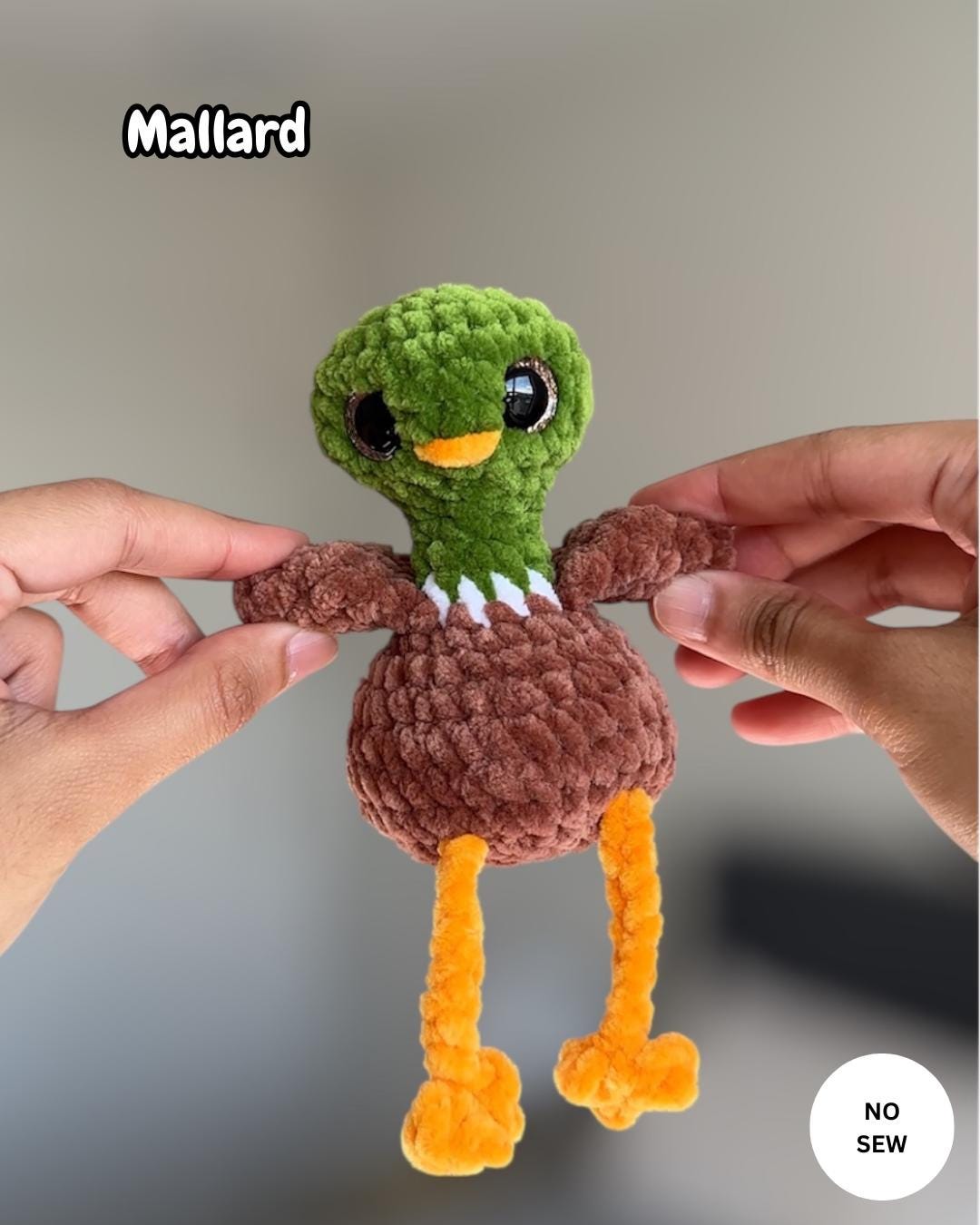6-in-1 Silly Birds Bundle