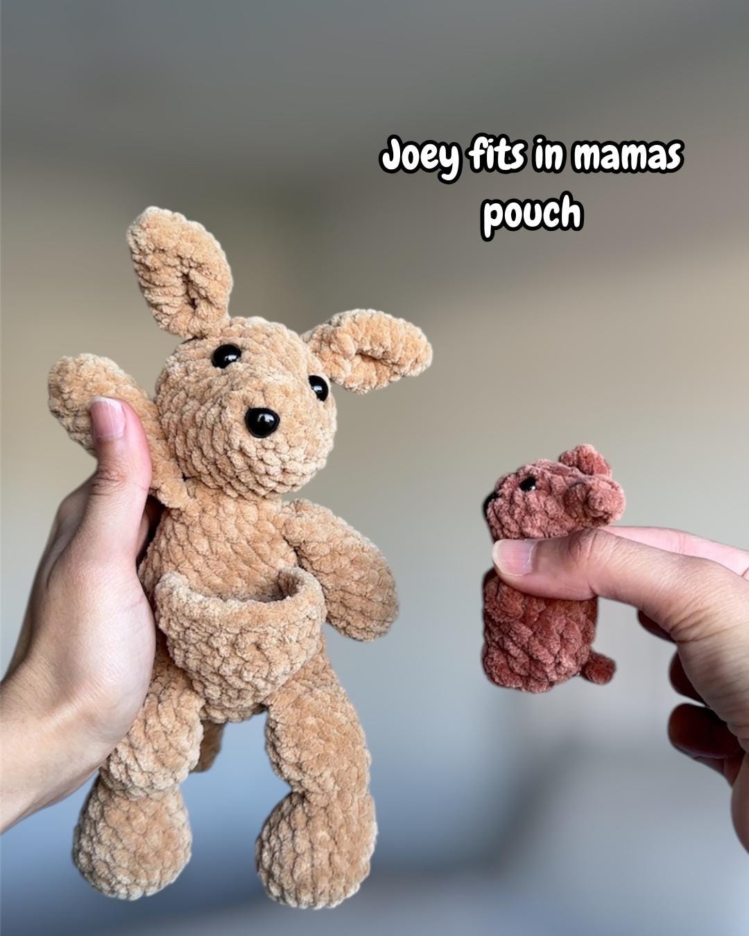 Kangaroo Mama and Joey