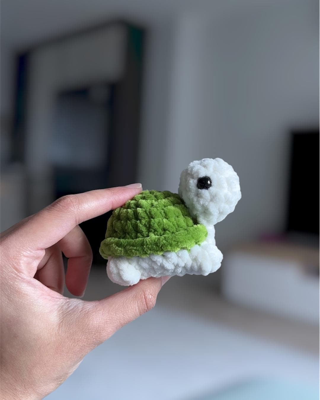 Baby Turtle