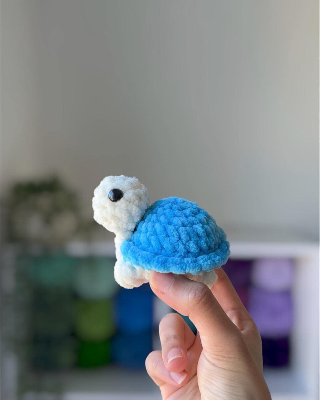 Baby Turtle