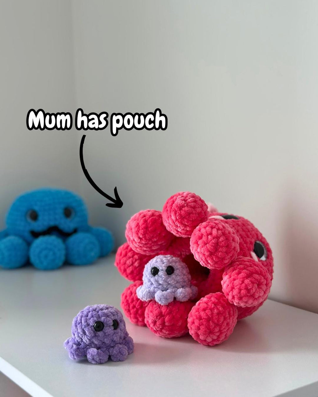 Octopus Family