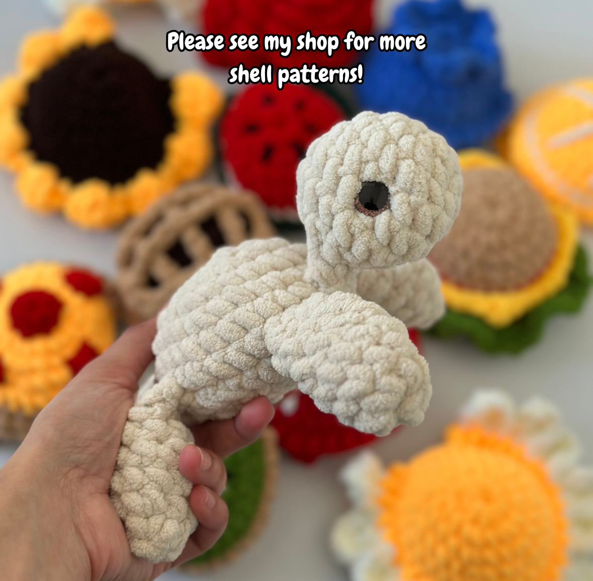 Removable Shell Turtle
