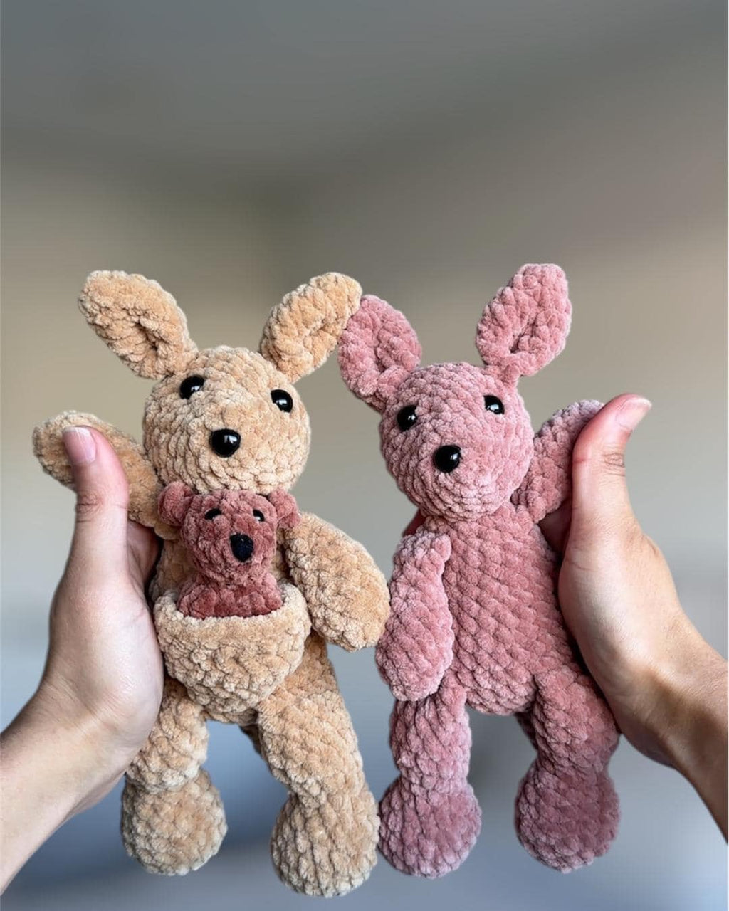 Kangaroo Mama and Joey