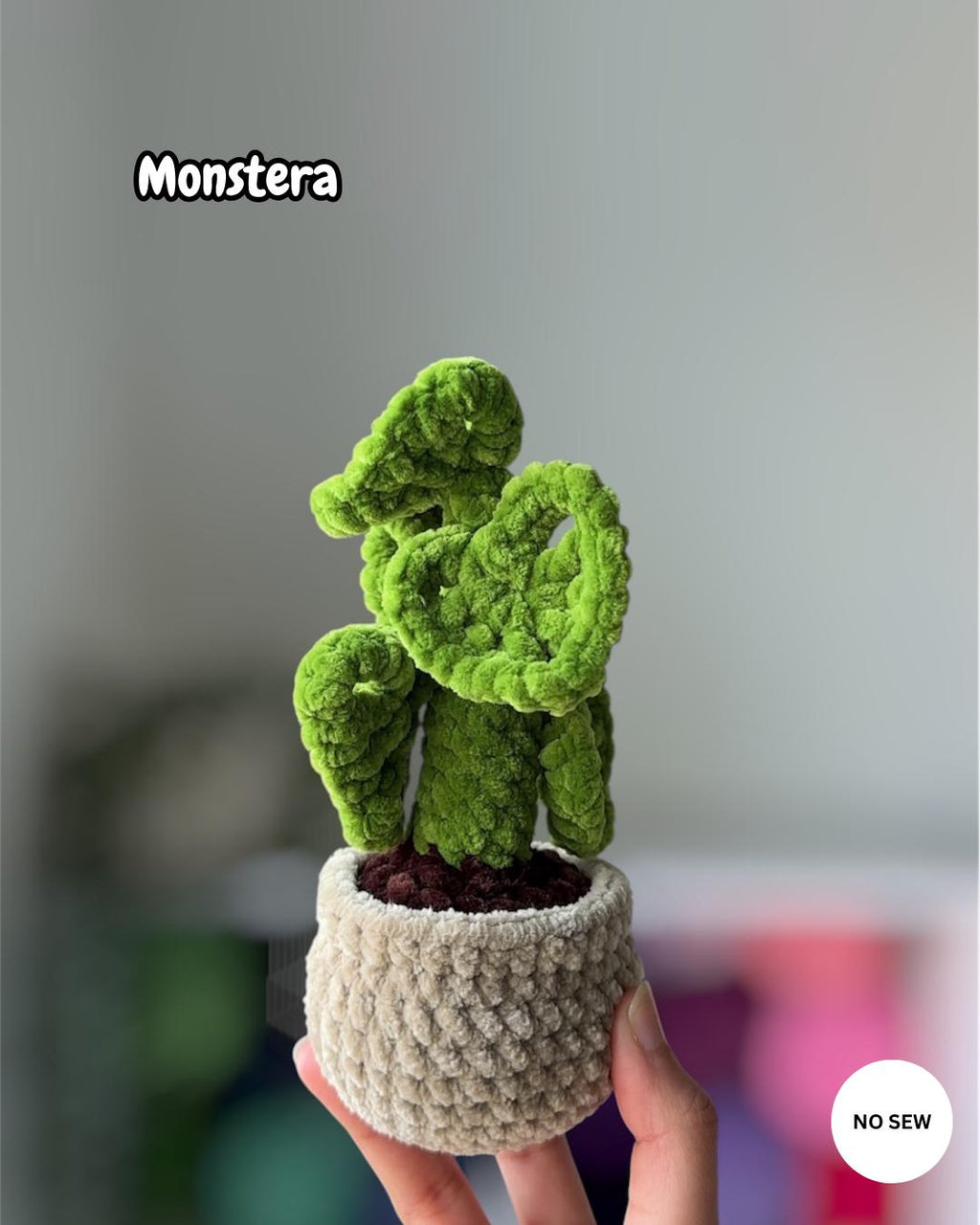 5-in-1 Plants Bundle