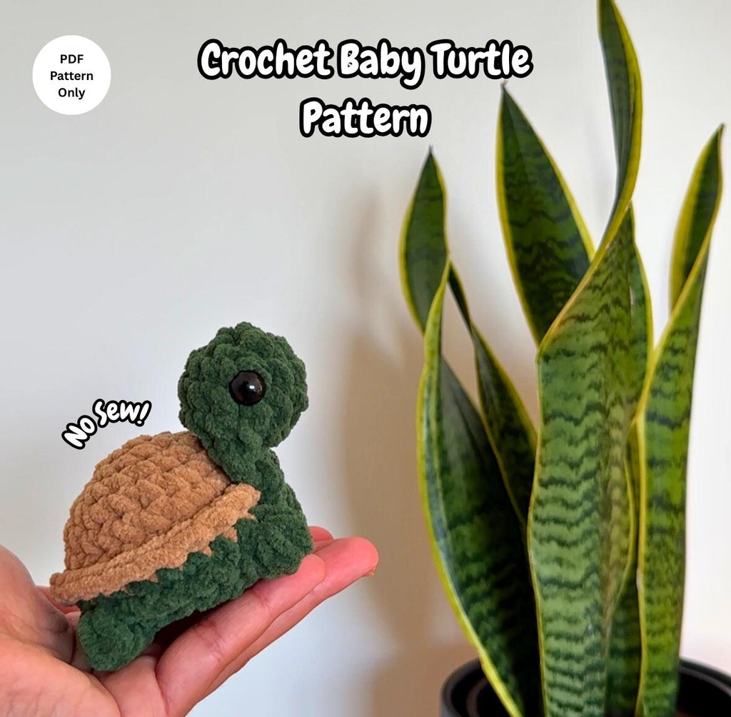 Baby Turtle