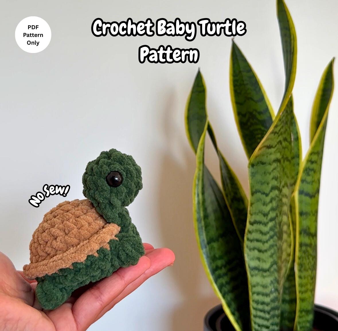 Baby Turtle