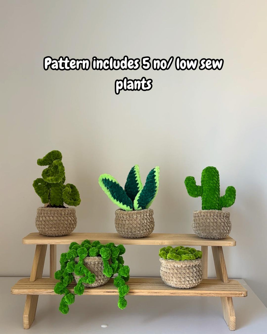 5-in-1 Plants Bundle