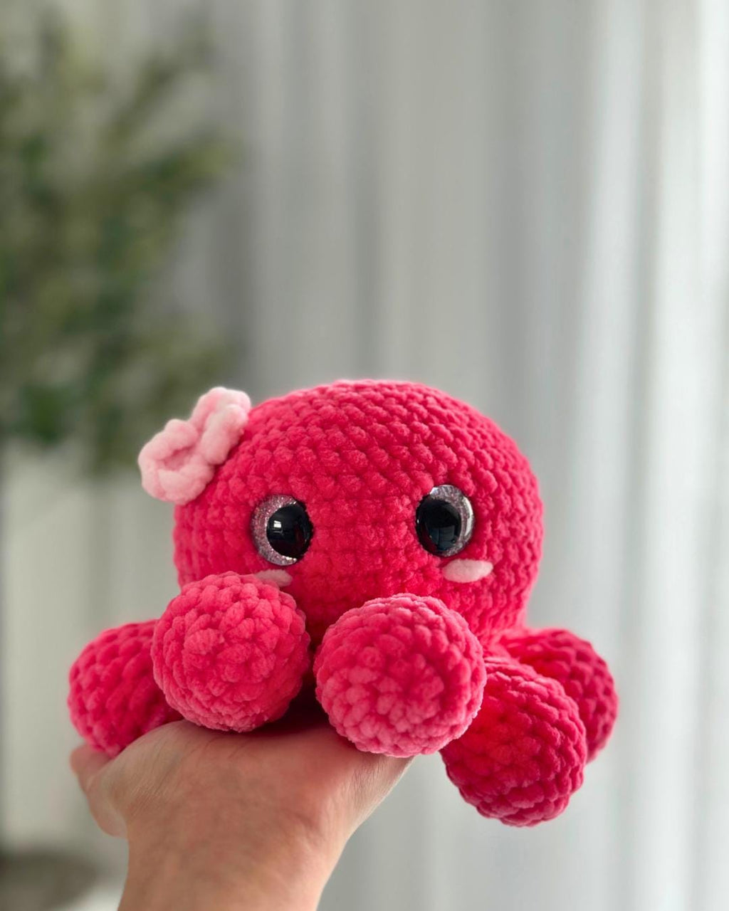 Octopus Family