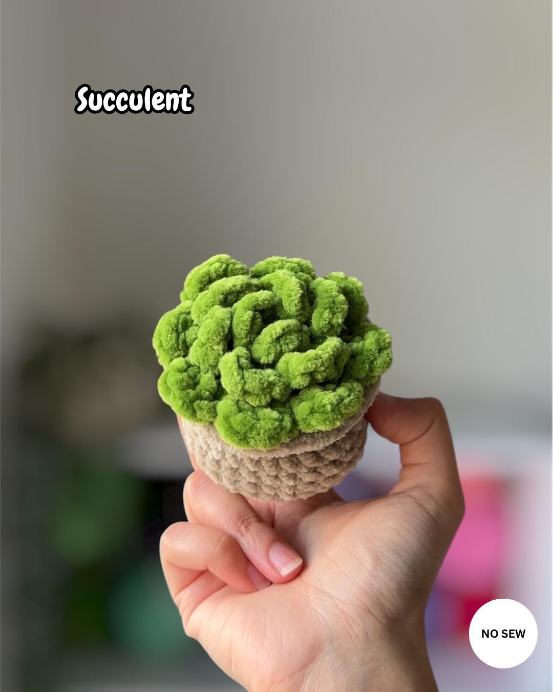 5-in-1 Plants Bundle