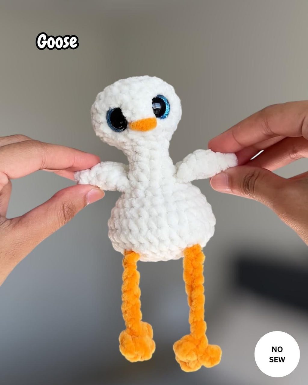 6-in-1 Silly Birds Bundle